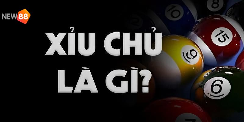 Tìm hiểu sơ lược về khái niệm xỉu chủ là gì